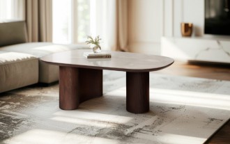 Τραπεζάκι σαλονιού TT0092